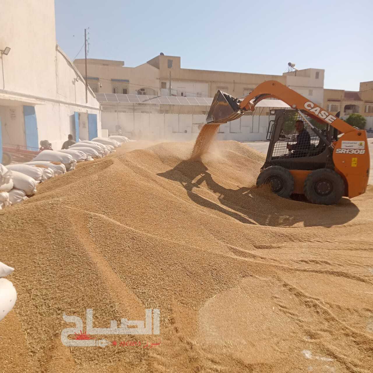 القيروان.. انطلاق عملية تجميع الحبوب بمختلف المراكز المعتمدة